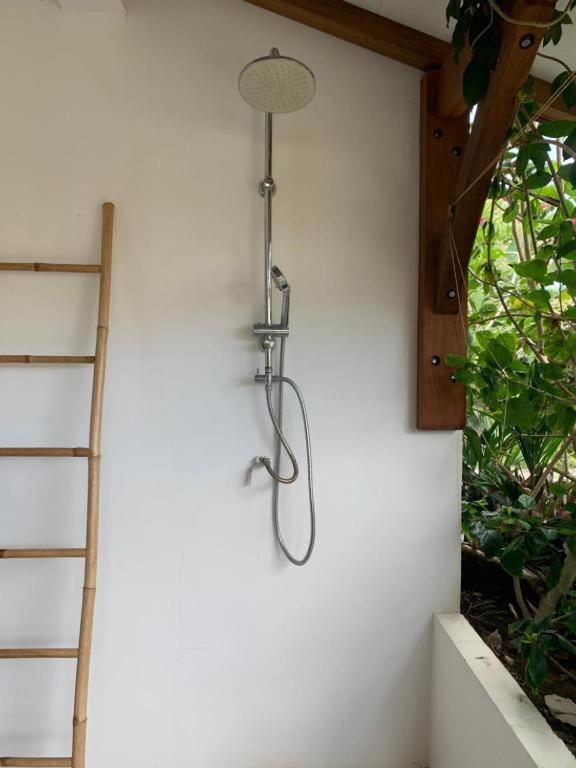 Le Tropical Appartement 1 Ou 2 Chambres เลส์ อองซ์-ดิอาร์เลส ภายนอก รูปภาพ